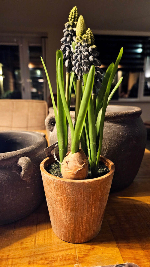 Blauwe druif in pot (kunst) - Brynxz Bloemen en Boeketten