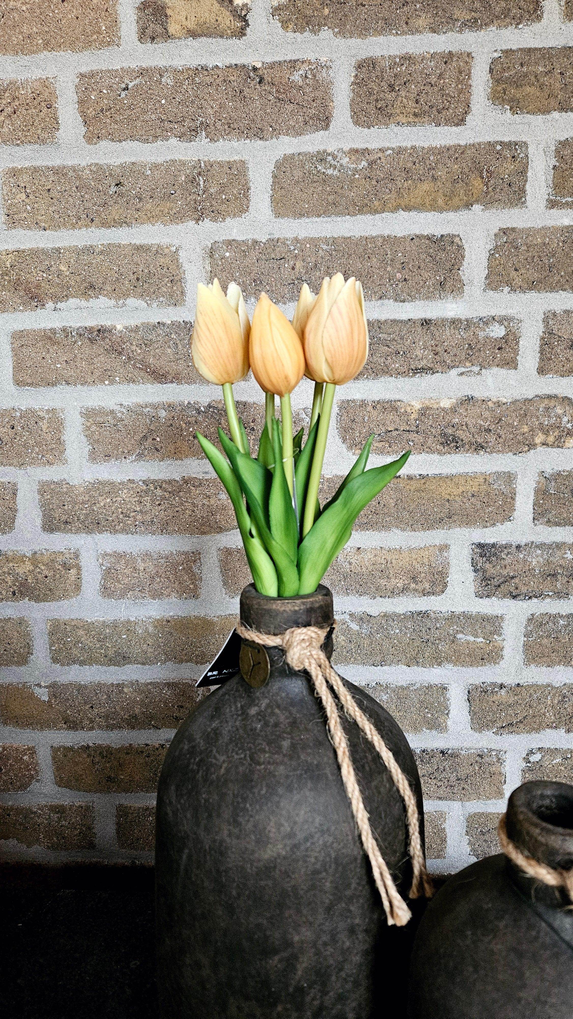 Real Touch Tulpen 25 cm Champagne - Brynxz Bloemen en Boeketten