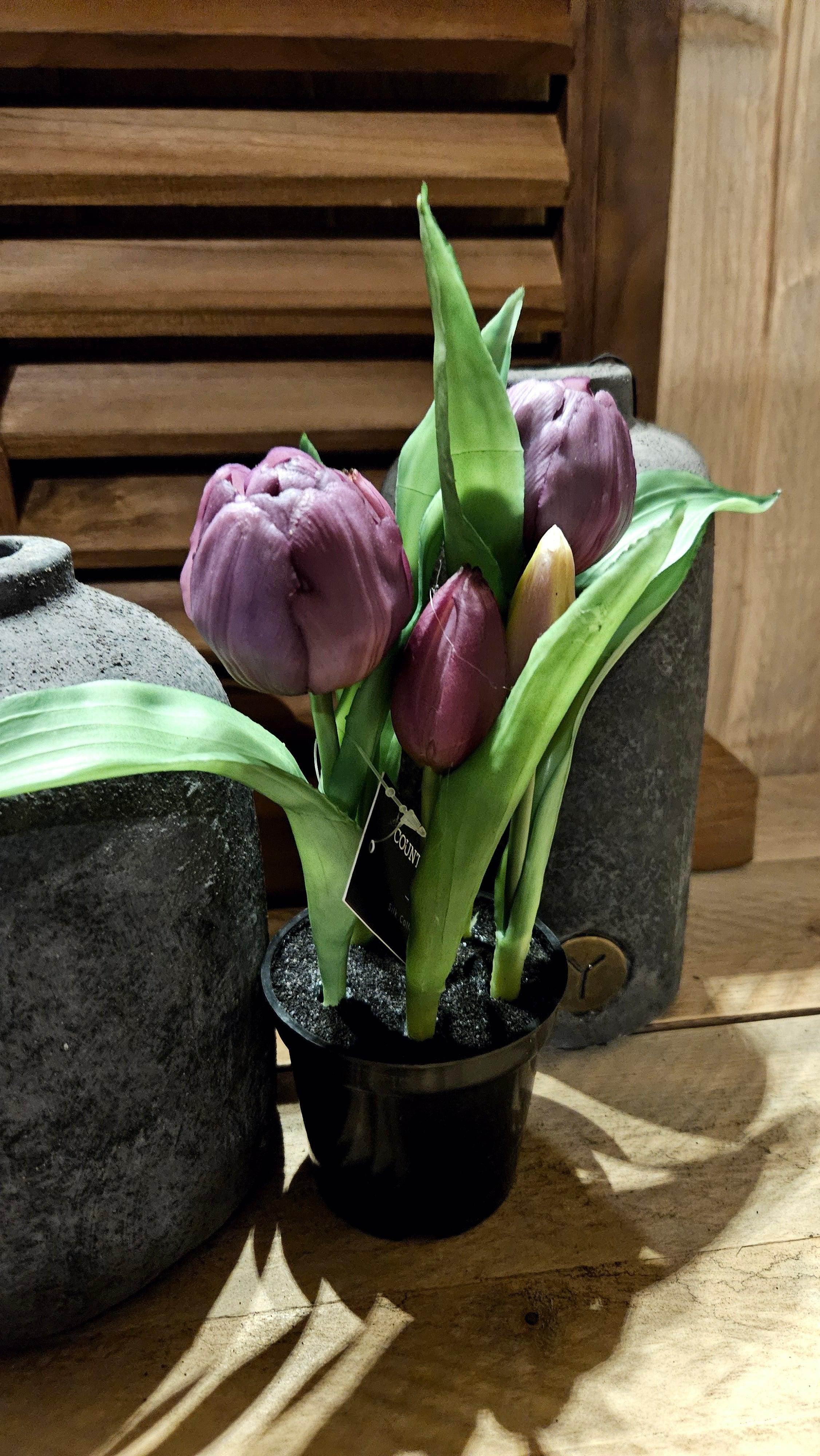 Real Touch Tulpen in pot - Brynxz Bloemen en Boeketten